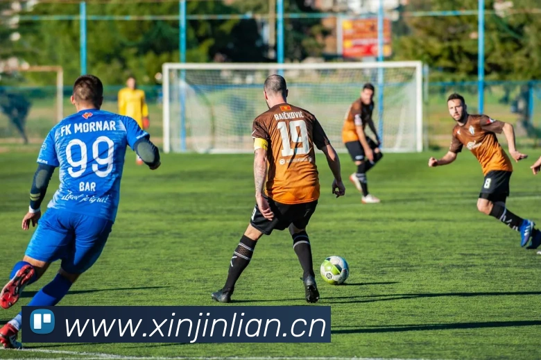 leyu乐鱼在线体育平台生态图